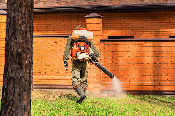 Trusted Termite Control service in Progress, PA - Nex Pest Control